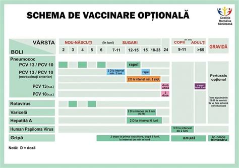 primele vaccinuri la purcei|Schema de vaccinare pentru câini